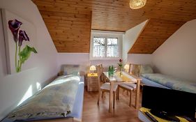 Hotel Gasthof Und Metzgerei Zum Ochsen Ag